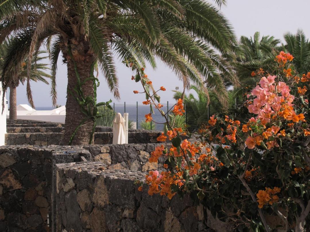קוסטה טגוויסה Bungalow Goa Pool View, Playa Roca Residence Sea Front Access - Free Ac - Wifi מראה חיצוני תמונה